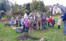 Výsadba stromů v zahradě Domova Simeon (11)