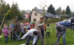 Výsadba stromů v zahradě Domova Simeon (7)