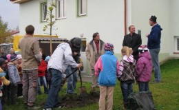 Výsadba stromů v zahradě Domova Simeon (9)